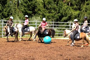 Bonne saison pour le centre equestre