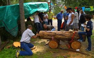  Des scieurs rapides