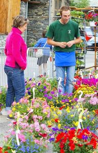 la-place-de-la-mairie-etait-coloree-et-parfumee-par-les-diverses-varietes-de-fleurs-et-de-legumes