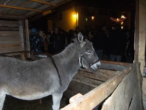 La crèche vivante 2011