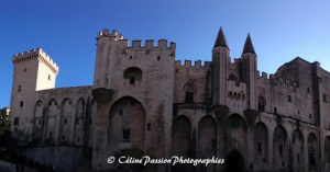 Le Palais des Papes