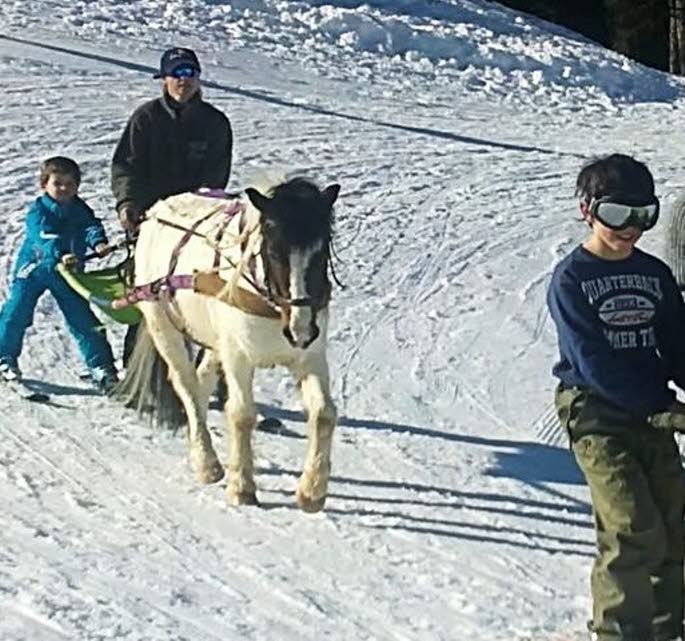 Quentin avec le poney Sioux. Une initiation agréable et gratuite au ski-joëring offerte par la station.